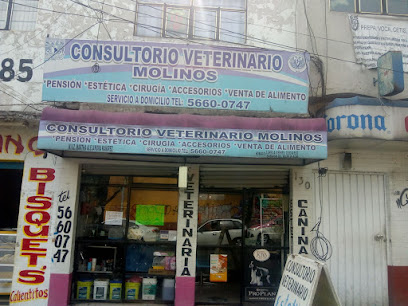 Consultorio Veterinario Molinos