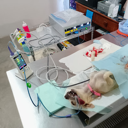 Negocio Consultorio Veterinario &Quot;Danmari&Quot;