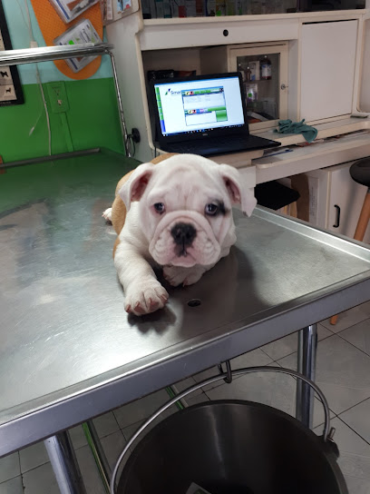 Consultorio Veterinario &Quot;Ichi&Quot;