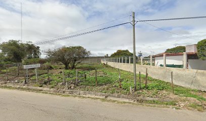 Negocio Control Y Regulación Canina Y Felina