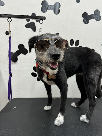 Cool Dogs