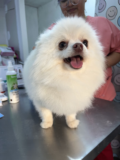 Negocio D&Apos;Pelos Clínica Veterinaria