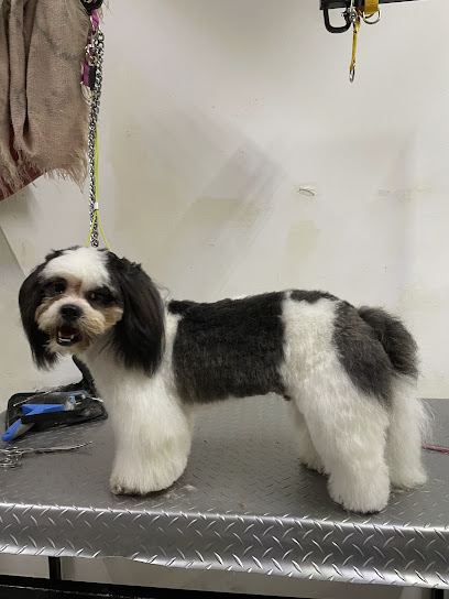 Dango – Servicios Veterinarios Y Estética Canina