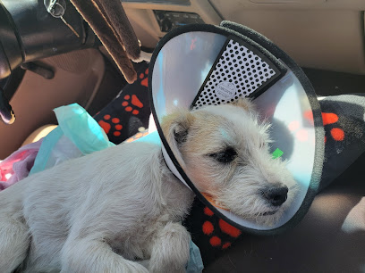 Negocio Dany´s Veterinaria