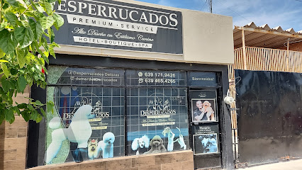 Negocio Desperrucados