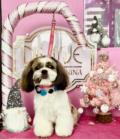 Negocio Divine Estetica Canina