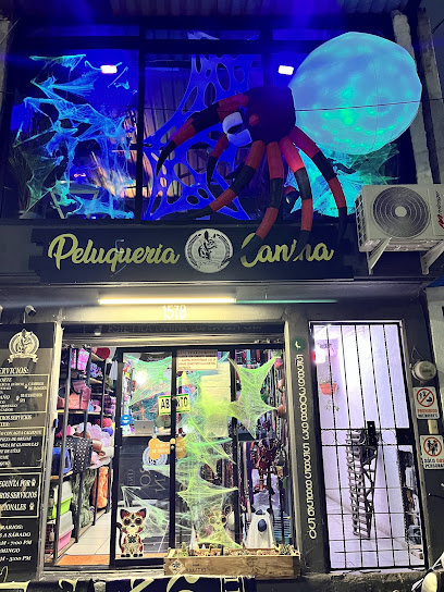 Negocio Dog Barber Shop