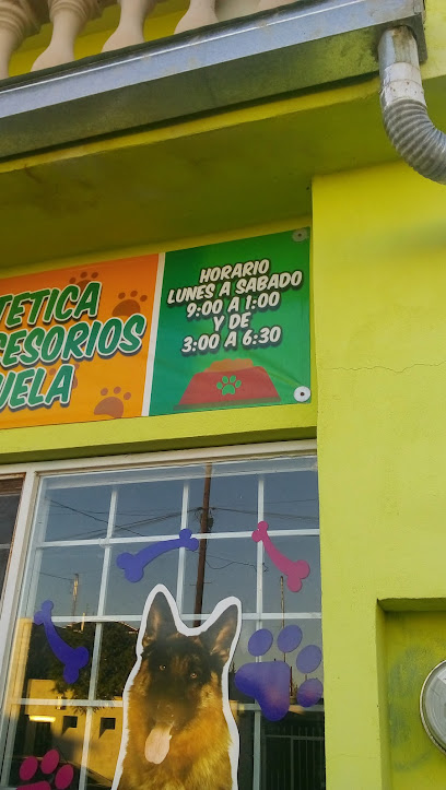 Negocio Dog Shop Estetica Canina