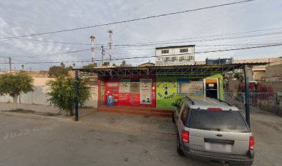 Negocio Dogcar Móvil