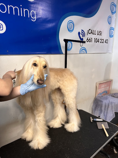 Negocio Doggles Shop And Pet Spa