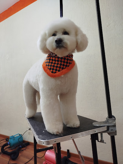 Doggop