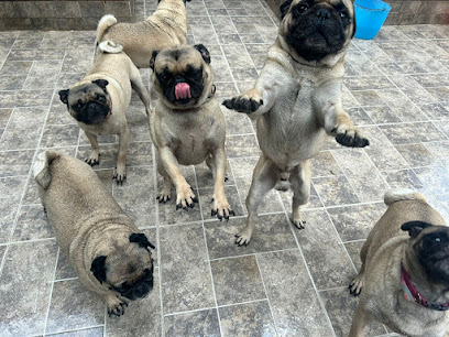 Doggy Chalet