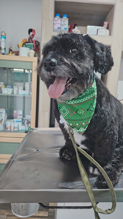 Negocio Doggyverso. Veterinaria Y Estética Canina.