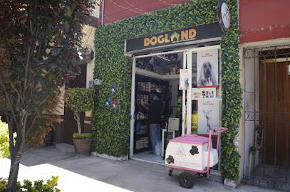 Dogland Coyoacan