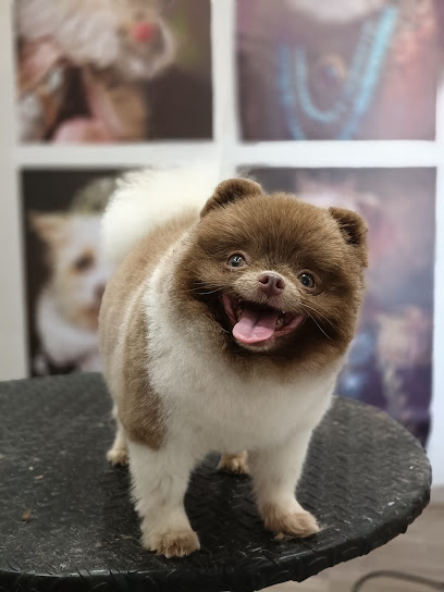 Negocio Doglovers Estetica Canina