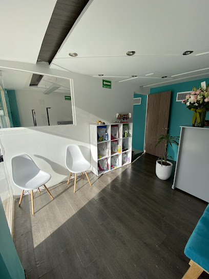 Negocio Dogroom Spa Para Mascotas