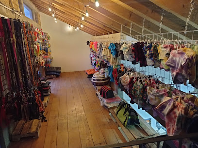 Negocio Dogs &Amp; Beyond Estética Canina Profesional