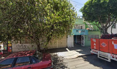 Dogs Estetica Canina