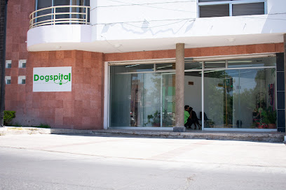 Negocio Dogspital Veterinario A Domicilio En Aguascalientes