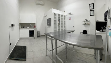 Negocio Dogtor Pets Clinica Veterinaria Y Estetica Canina