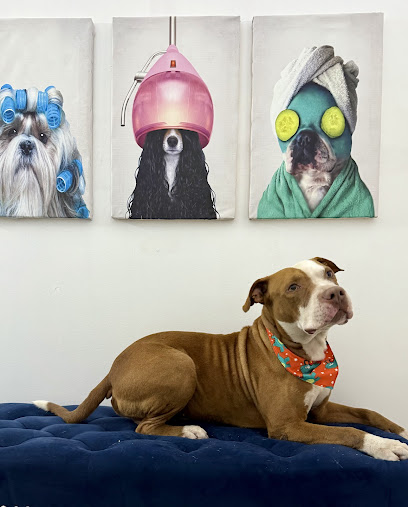 Dogtora Pets