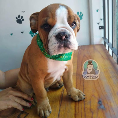 Negocio Don Perro • Estética Canina
