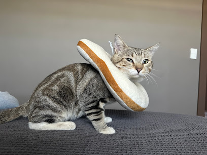Dos Mascotas