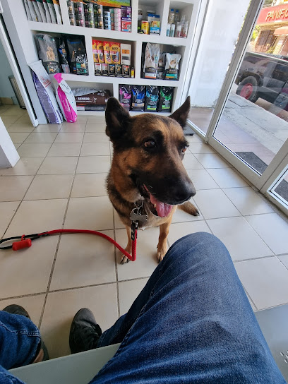 Negocio Dr. Perro