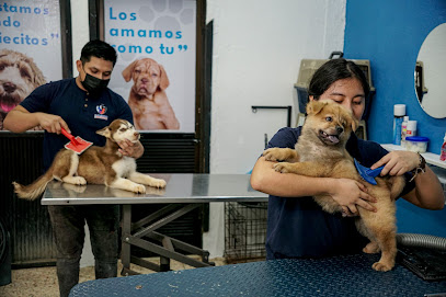 El Castillo De Las Mascotas