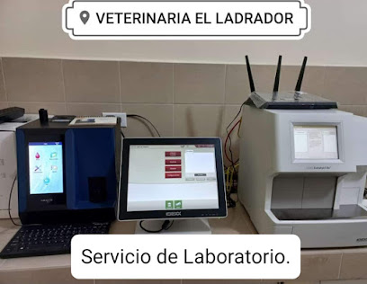 Negocio El Ladrador Veterinaria