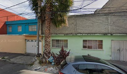 Escuela De Estetica Canina Profesional Canis