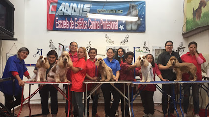 Escuela Estetica Canina Profesional Canis