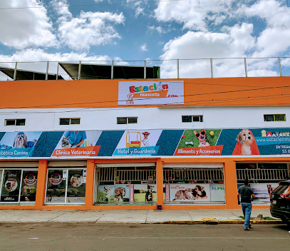 Estación Mascota