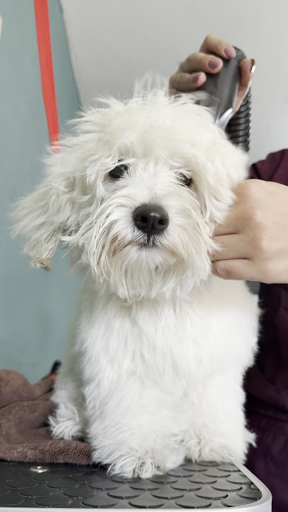 Negocio Esteti-Kan Estética Canina