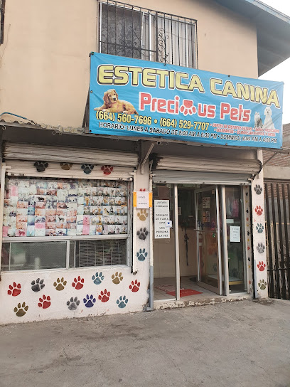 Estetica Canina
