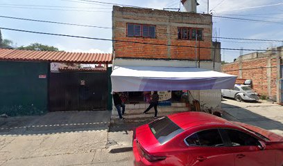 Negocio Estética Canina