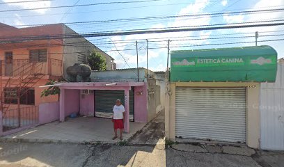 Estetica Canina