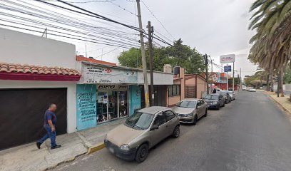 Estetica Canina