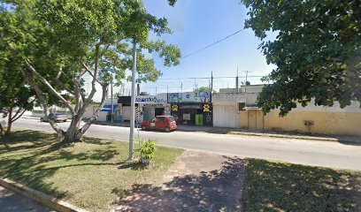 Estetica Canina
