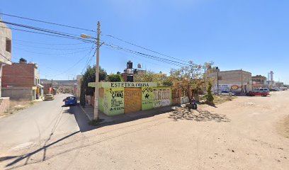 Negocio Estetica Canina