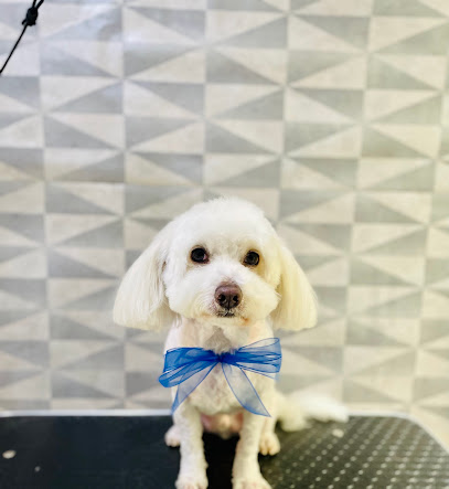 Estetica Canina