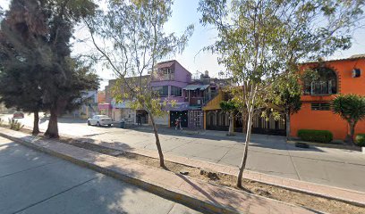 Estetica Canina