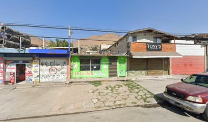 Estetica Canina