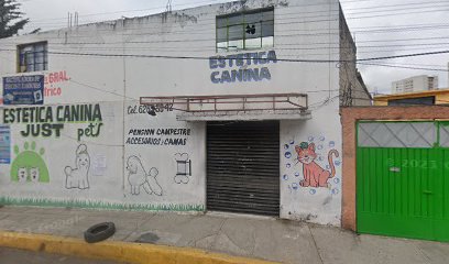 Estetica Canina