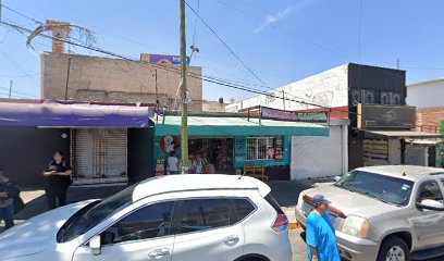 Negocio Estética Canina