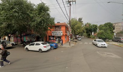 Estetica Canina