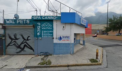 Negocio Estética Canina