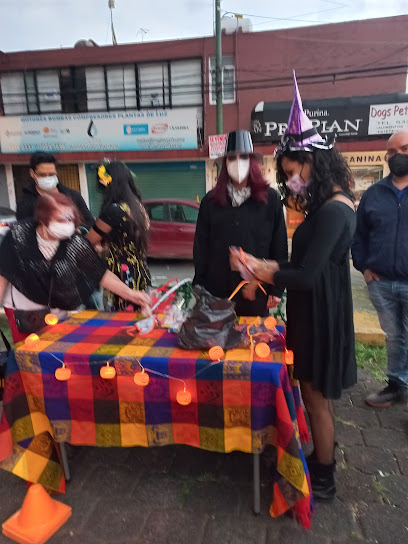 Estetica Canina