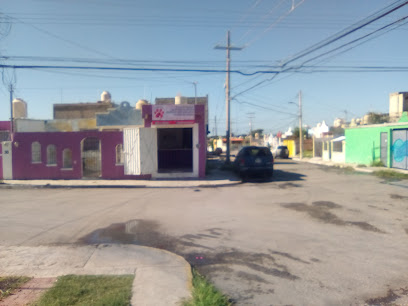 Negocio Estética Canina 3B