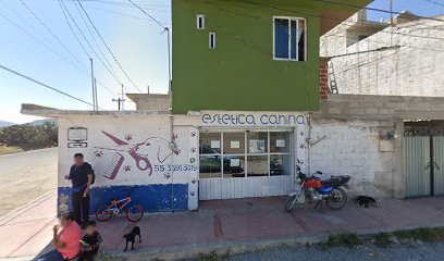 Negocio Estetica Canina